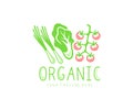 Organic vegetables, organic food, garden produce, eating and dieting, logo design. Meal, tomato, lettuce salad, green onion, farme Royalty Free Stock Photo