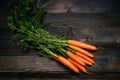 Organic vegetables. Fresh harvested carrots on the dark wooden background, top view