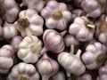 Organic vegetables fresh ingredient healthy background raw nature spice garlic closeup food vegetarian Royalty Free Stock Photo