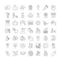 Organic vegetables and fruits linear icons, signs, symbols vector line illustration set Royalty Free Stock Photo