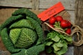 Organic vegetables : green cabbage and radish on a wooden board