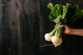 Organic vegetables. Hands holding fresh turnip. Black wooden background with copy space