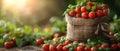 Concept Organic Farming, Organic Vegetables in Reusable Shopping Bag with Blurry Background