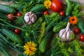 Organic vegetables.a set of beet cucumbers, dill, garlic and tomato Royalty Free Stock Photo