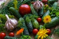 Organic vegetables.a set of beet cucumbers, dill, garlic and tomato Royalty Free Stock Photo