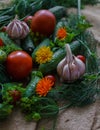 Organic vegetables.a set of beet cucumbers, dill, garlic and tomato Royalty Free Stock Photo