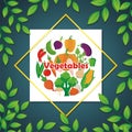 Organic Vegetables Vector, with new and lovely design