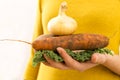 Organic vegetables. Woman`s hands with freshly harvested vegetab