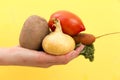 Organic vegetables. Woman`s hands with freshly harvested vegetab