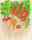 Organic vegetables on a wooden background