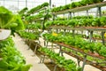 Organic vertical farming