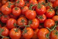 Organic Vine Tomatoes Royalty Free Stock Photo