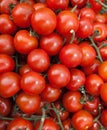 Organic Vine Tomatoes