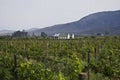 Organic Vineyard & Farmhouse - Wider Angle