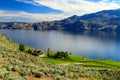 Organic vineyard landscape okanagan lake Royalty Free Stock Photo