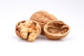 Organic walnuts and cracked walnut, isolated on white background Royalty Free Stock Photo