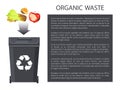 Organic Waste Throwing in Bin Vector Illustration