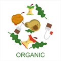 Organic waste collection vector isolated. Food garbage