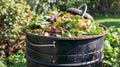 Organic waste composting bin with food scraps and grass cuttings for natural decomposition