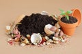 Organic waste, heap of biodegradable vegetable compost with decomposed organic matter on top