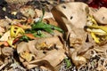 Organic waste Royalty Free Stock Photo