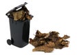 Organic waste in rubbish bin Royalty Free Stock Photo