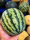 Organic watermelon garden close up shot Royalty Free Stock Photo