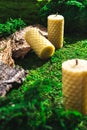 Organic wax hand made honeycomb roll. Natural candles on green moss. Aroma, beauty zero waste