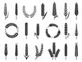 Organic wheat barley ears, bakery harvest symbols. Isolated agriculture elements. Oat or malt for beer and bread. Decent