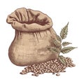 Organic wheat flour in burlap sack illustration