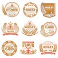 Organic wheat flour, farming grain products vector labels and logos