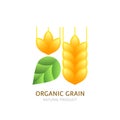 Organic wheat grain logo, icon, label design elements. Royalty Free Stock Photo