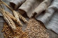 Organic Wheat Grains and Ears on Sackcloth Background for Agriculture and Food Production Concept Royalty Free Stock Photo