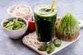 Organic Wheat Grass Spinach and sprout detox drink Royalty Free Stock Photo