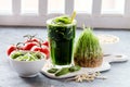 Organic Wheat Grass Spinach and sprout detox drink Royalty Free Stock Photo