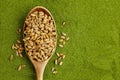 Organic wheatgrass seeds for sprouting in spoon on weatgrass powder background. Top view, copy space Royalty Free Stock Photo