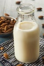Organic White Almond Milk Royalty Free Stock Photo