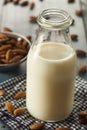 Organic White Almond Milk Royalty Free Stock Photo