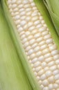 Organic White Corn