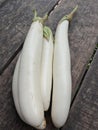 Organic White eggplant from organic farm. Terong putih organik.