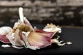 Organic white garlic on a black slate plate Royalty Free Stock Photo