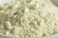 Organic White Vanilla Protein Powder Royalty Free Stock Photo