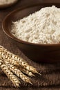 Organic Whole Wheat Flour Royalty Free Stock Photo