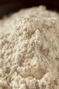Organic Whole Wheat Flour Royalty Free Stock Photo