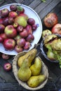 Organic winter fruit
