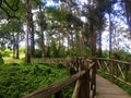Wooden Path at El ParaÃÂ­so Park in Cuenca, Ecuador