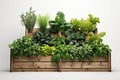 Organic Wooden Raised Bed Vegetable Garden For Vertical Planting
