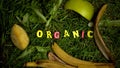 Organic word surrounded by food waste on lawn, greenhouse gas emissions reason