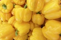 Organic yellow bell pepper in market . Yellow paprika. Paprika background Royalty Free Stock Photo