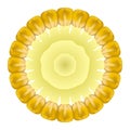 Organic Yellow Fresh Corn. Natural Gold Sweet Food. Summer Golden Vegetarian Sweetcorn Texture. Seed Ornament.